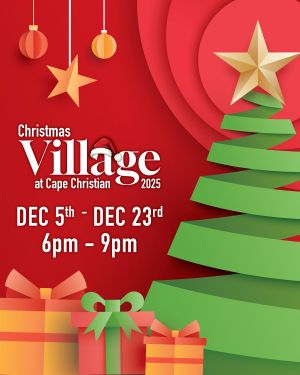 christmas village.jpg