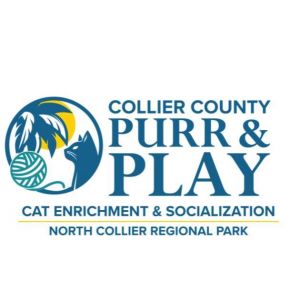 Collier Purr & Play